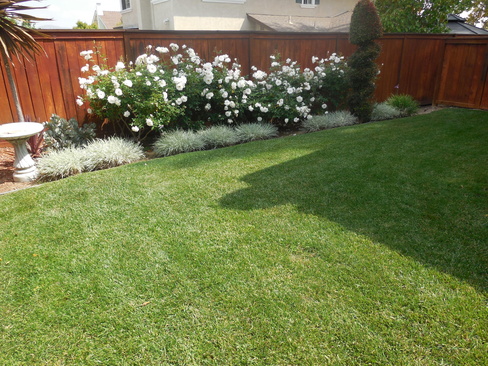Anaheim Vacation Rental Rose Garden